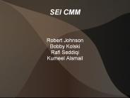 SEI CMM