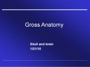 Gross Anatomy