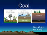 Coal