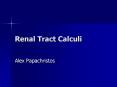 Renal Tract Calculi PowerPoint PPT Presentation