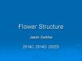 Flower Structure PowerPoint PPT Presentation