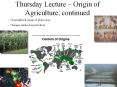 Thursday Lecture   Origin of Agriculture, continued  PowerPoint PPT Presentation