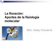 La floraci