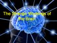 The Strange Workings of the Brain PowerPoint PPT Presentation
