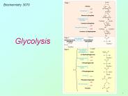 3070 Lecture - Vitamins