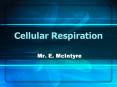 Cellular Respiration PowerPoint PPT Presentation