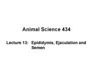 Animal Science 434