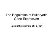The Regulation of Eukaryotic Gene Expression