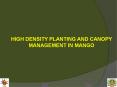 HIGH DENSITY PLANTING AND CANOPY MANAGEMENT IN MANGO PowerPoint PPT Presentation