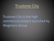 Trustone City ppt