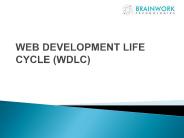 Web Development Life Cycle