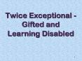 Twice Exceptional - Gifted and Learning Disabled PowerPoint PPT Presentation