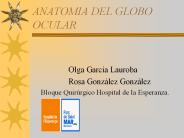 ANATOMIA DEL GLOBO OCULAR