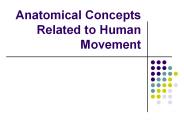 Anatomical Concepts Related to Human Movement