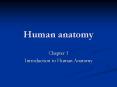 Human anatomy PowerPoint PPT Presentation