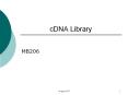 cDNA Library PowerPoint PPT Presentation