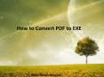 How to Convert PDF to EXE PowerPoint PPT Presentation