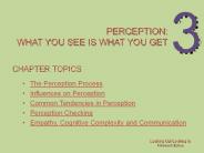 Perception: what you see is what you get