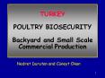 TURKEY POULTRY BIOSECURITY Backyard and Small Scale Commercial Production PowerPoint PPT Presentation