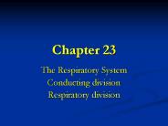 The Respiratory System