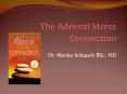 The Adrenal Stress Connection PowerPoint PPT Presentation