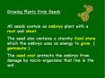 Growing Plants from Seeds PowerPoint PPT Presentation