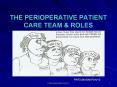 THE PERIOPERATIVE PATIENT CARE TEAM PowerPoint PPT Presentation