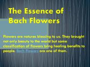 The Essence of Bach Flowers