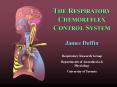 THE RESPIRATORY CHEMOREFLEX CONTROL SYSTEM PowerPoint PPT Presentation