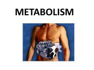 metabolis