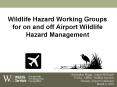 Wildlife Hazard Working Groups for on and off Airport Wildlife Hazard Management PowerPoint PPT Presentation