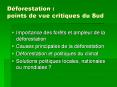 Dйforestation : points de vue critiques du Sud PowerPoint PPT Presentation