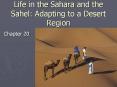 Life in the Sahara and the Sahel: Adapting to a Desert Region PowerPoint PPT Presentation