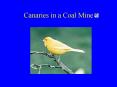 Canaries in a Coal Mine PowerPoint PPT Presentation