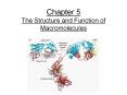 Chapter 5 The Structure and Function of Macromolecules PowerPoint PPT Presentation