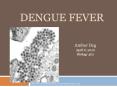 Dengue Fever PowerPoint PPT Presentation