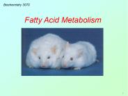 3070 Lecture - Vitamins