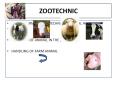 ZOOTECHNIC PowerPoint PPT Presentation