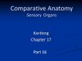 Comparative Anatomy Sensory Organs PowerPoint PPT Presentation