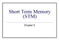 Short Term Memory (STM) Chapter 5 Memory To Do List Capacity PowerPoint PPT Presentation