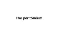 The peritoneum PowerPoint PPT Presentation