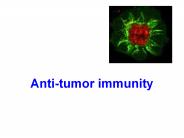 Anti-tumor immunity