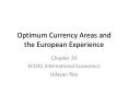 Optimum Currency Areas and the European Experience PowerPoint PPT Presentation