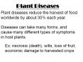 Plant Diseases PowerPoint PPT Presentation