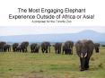 The Most Engaging Elephant Experience Outside of Africa or Asia! A proposal for the Toronto Zoo PowerPoint PPT Presentation