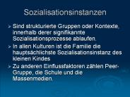 Sozialisationsinstanzen