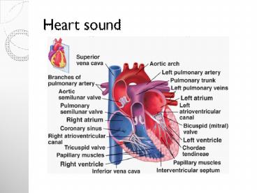 Heart sound