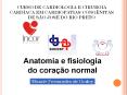 Incidкncia de Cardiopatias congкnitas PowerPoint PPT Presentation