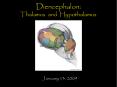 Diencephalon: Thalamus and Hypothalamus PowerPoint PPT Presentation