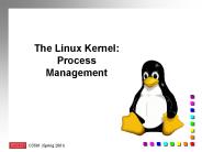 The Linux Kernel: Process Management